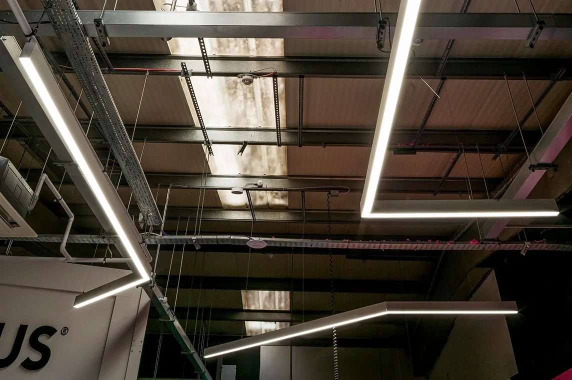 Tailored Linear Lighting with Custom Shapes & Lengths